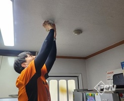 메인사진