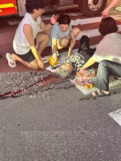 메인사진